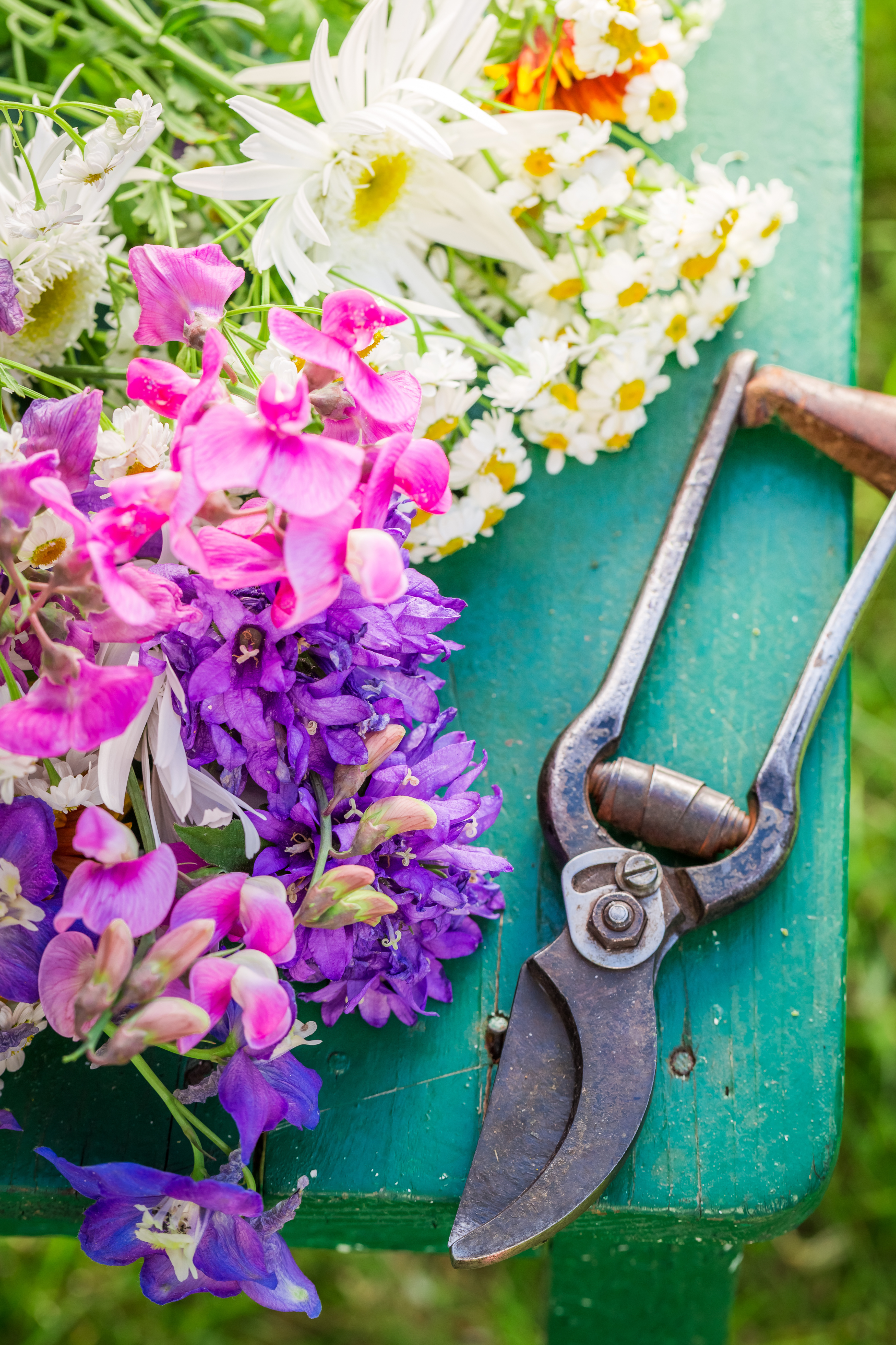 Die Gartenzeit in Rockenhausen Foto: ps