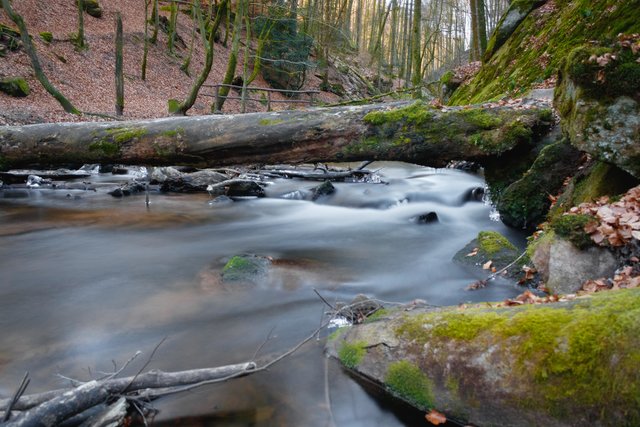 Das Karlstal im Winter