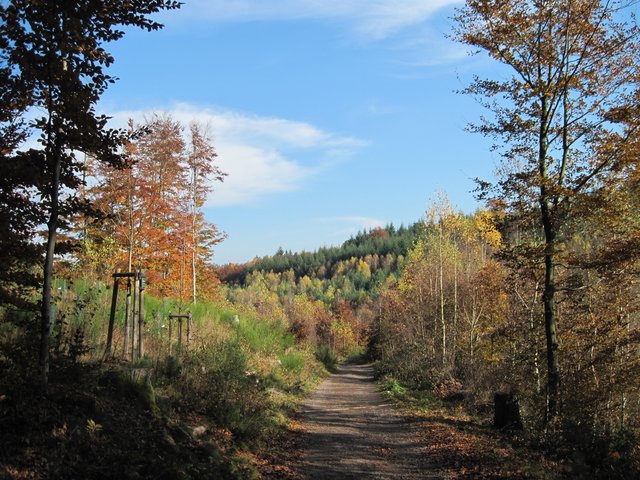 der Herbst kommt