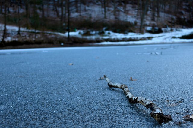 Zugeeister Bärenloch Weiher