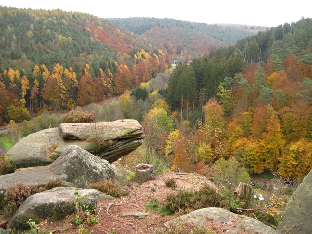 herbstlicher Pfälzerwald
oberhalb Finsterbrunnertal