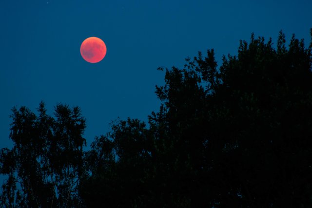 Blutmond 2018
