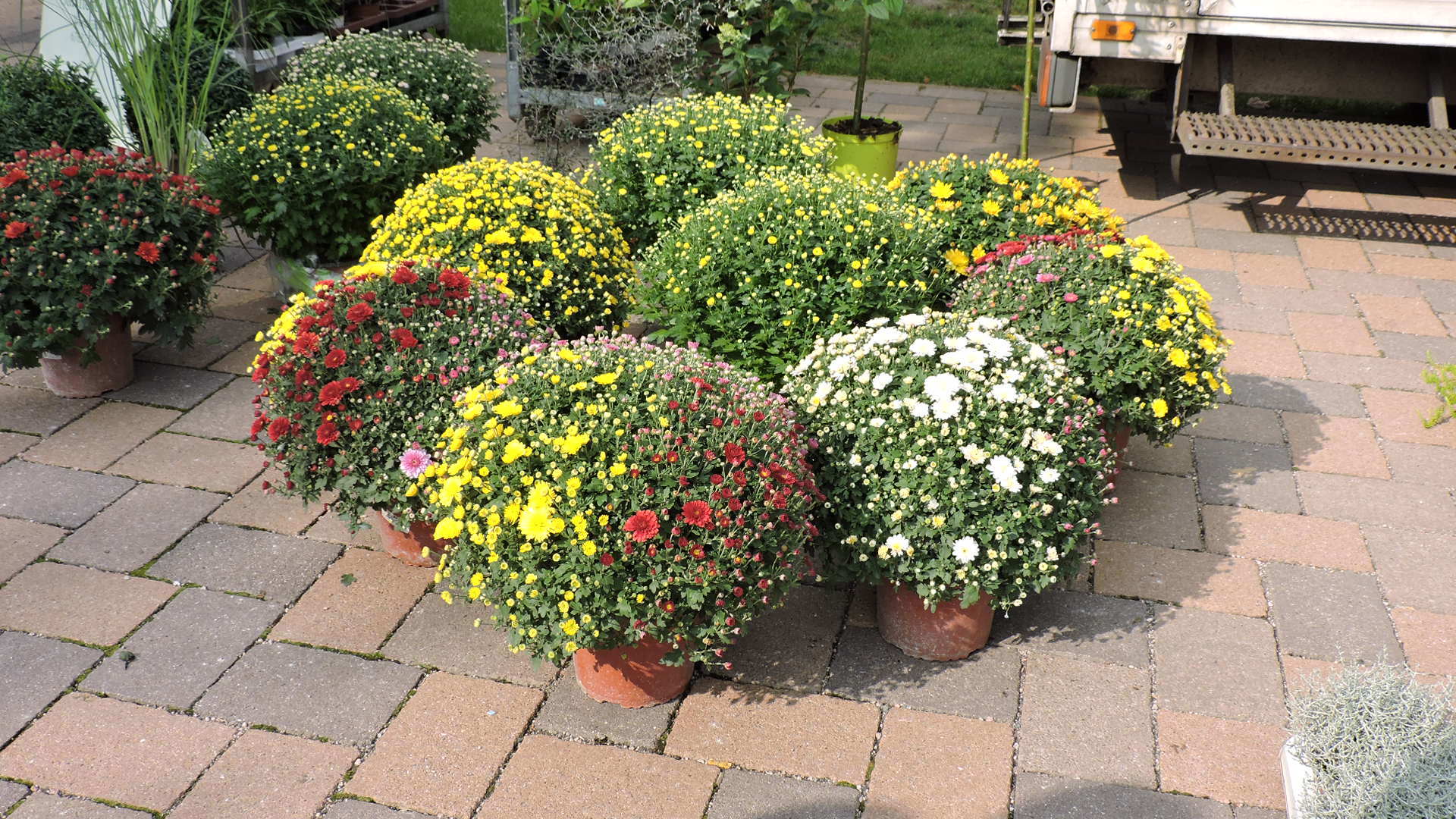 Ein Paradies für Gartenfreunde Foto: ps