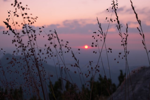 Sonnenuntergang im Sommer