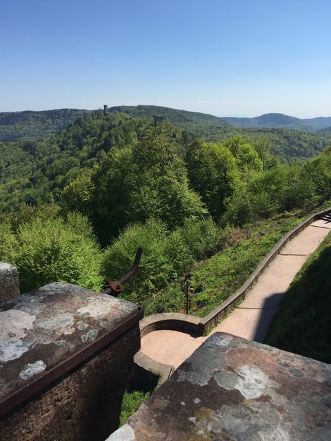 Was die „Pfalz“ alles zu bieten hat! auf Burg Trifels