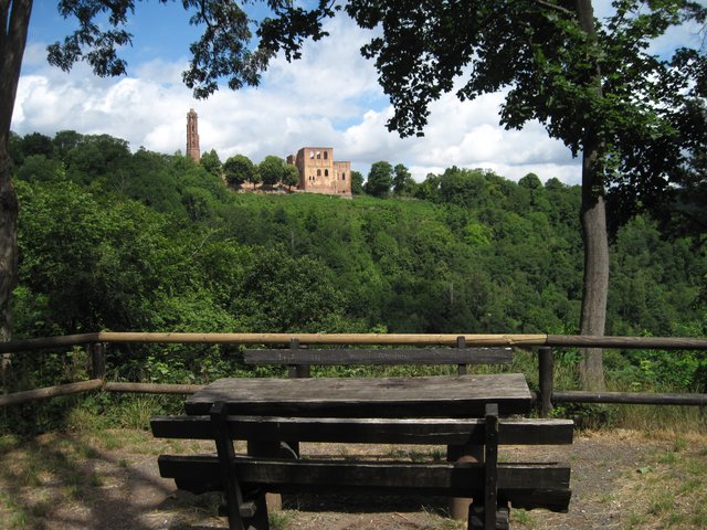 Blick auf die Klosterruine Limburg