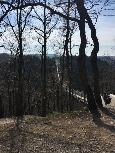 Höhenangst verboten! auf der „Geierlay“