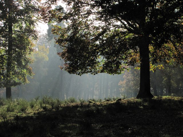 einfach Natur