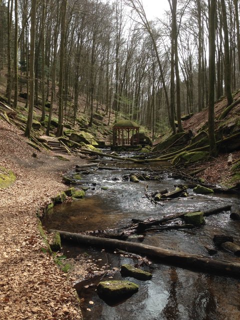 Natur pur im Karlstal bei Trippstadt