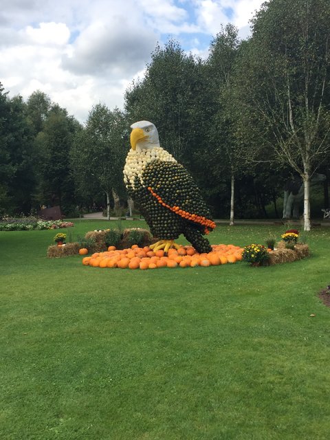 Grandiose Gartenschau in Kaiserslautern 