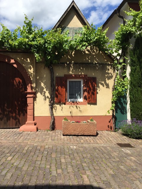 Klein aber „oho“ in Rhodt u. Rietburg