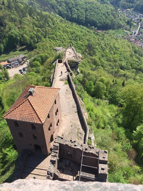 Höher geht‘s nicht auf Burg Trifels/Annweiler