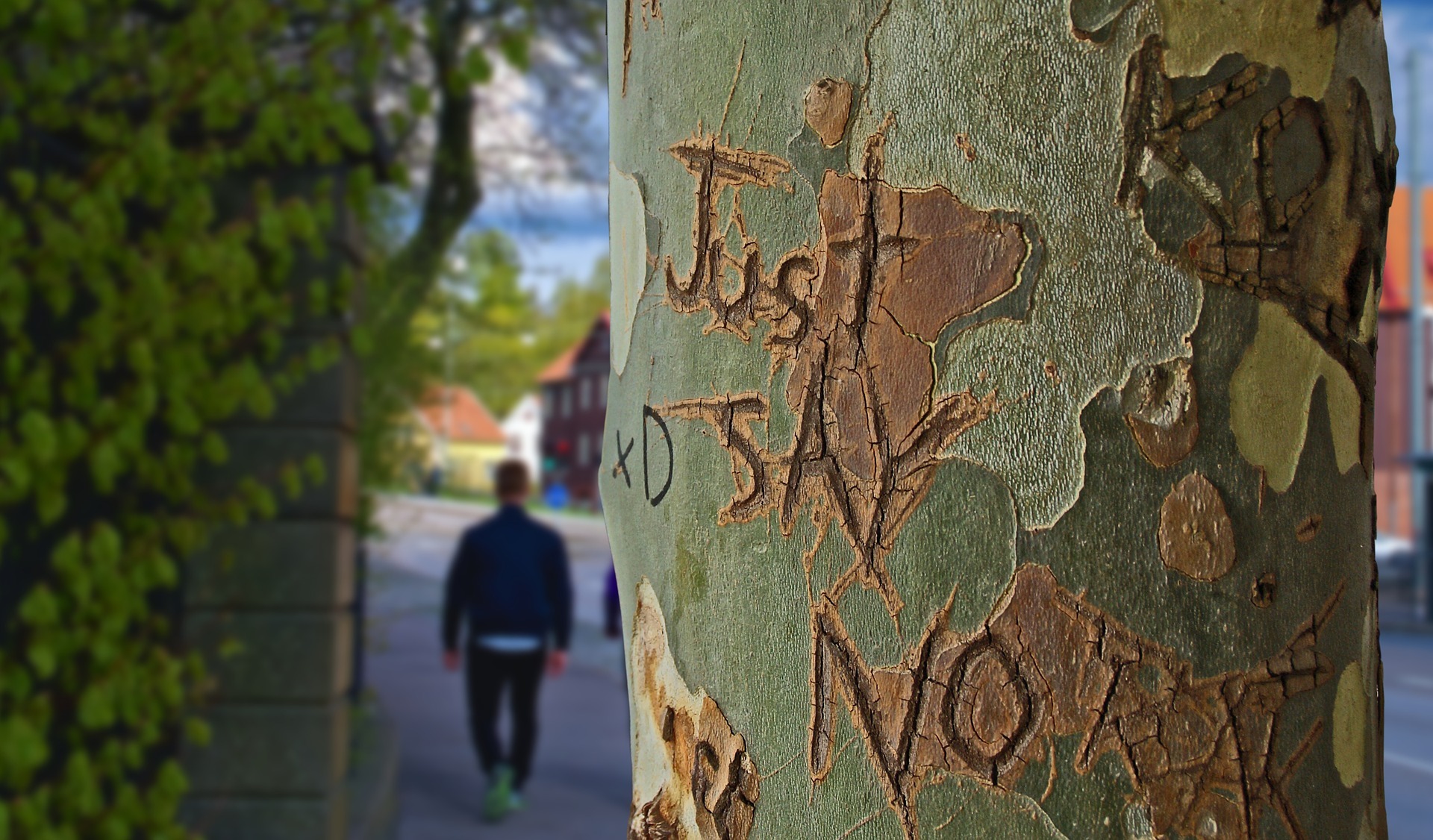 „Zukunft säen – NEIN, zu Gewalt an Frauen!“ ist das diesjährige Motto des Informationsstandes des Frauenhauses Speyer am 1. September an „der alten Münz“.