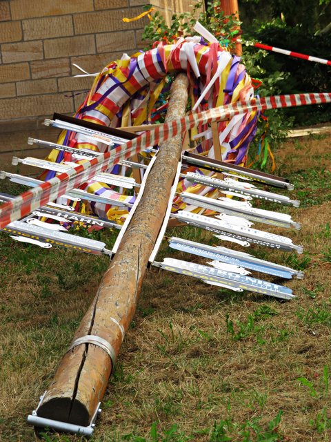 Da liegt er und rührt sich nicht - der Kerwebaum | Foto: Brigitte Melder