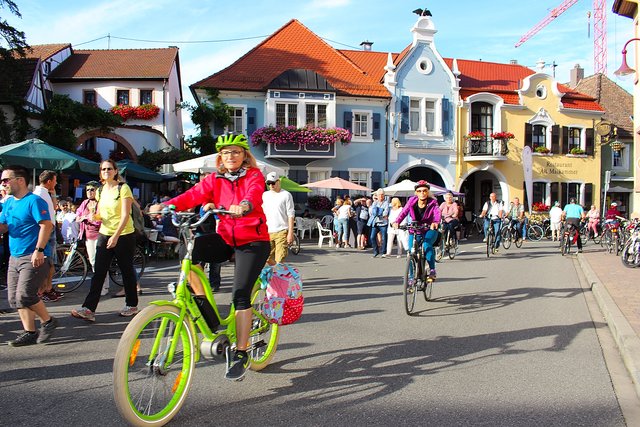 "Schattenfahrer" in den Abendstunden vor der schönen Maikammerer Kulisse. | Foto: Pacher
