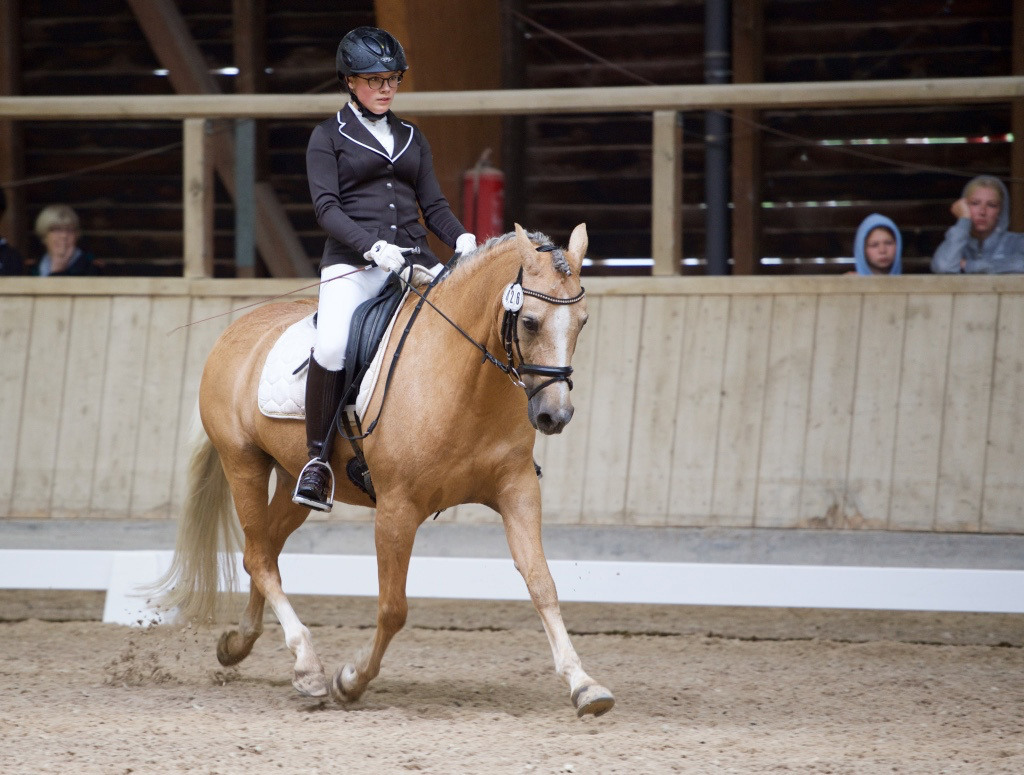 Theresa Berkel auf dem Deutschen Reitpferd