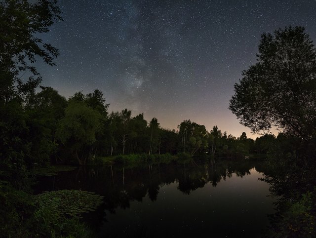 Wehlachweiher bei Haßloch | Foto: Dirk Schatz