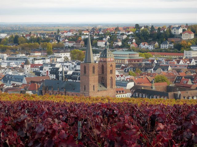 Herbstlicher Blick über Neustadt/Weinstrasse | Foto: Maike Müller  