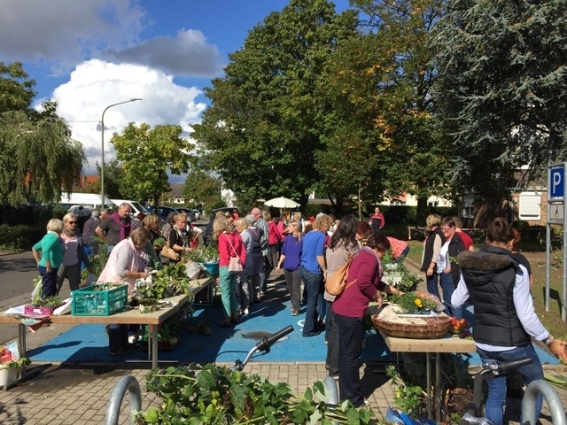 Immer gut besucht: der PflanzenTauschTag. Foto: ps