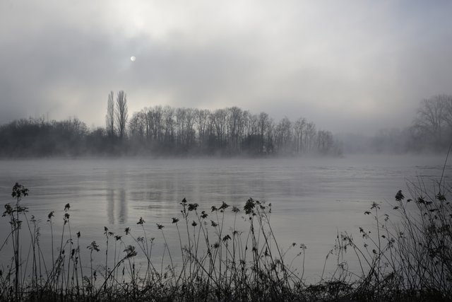 Nebel über dem Rhein. Fotografiert am Rheindamm bei Römerberg/Mechtersheim. | Foto: Beate Wurster