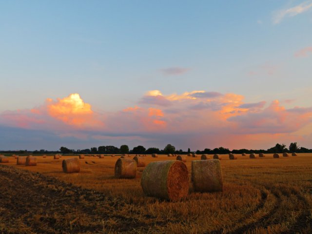 Strohballen im Licht der untergehenden Sonne | Foto: Brigitte Melder
