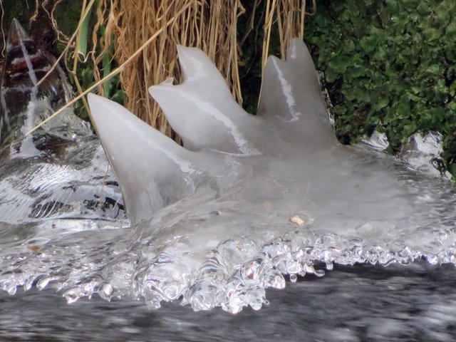 Eiszeit - bei Haßloch aufgenommen | Foto: Brigitte Melder
