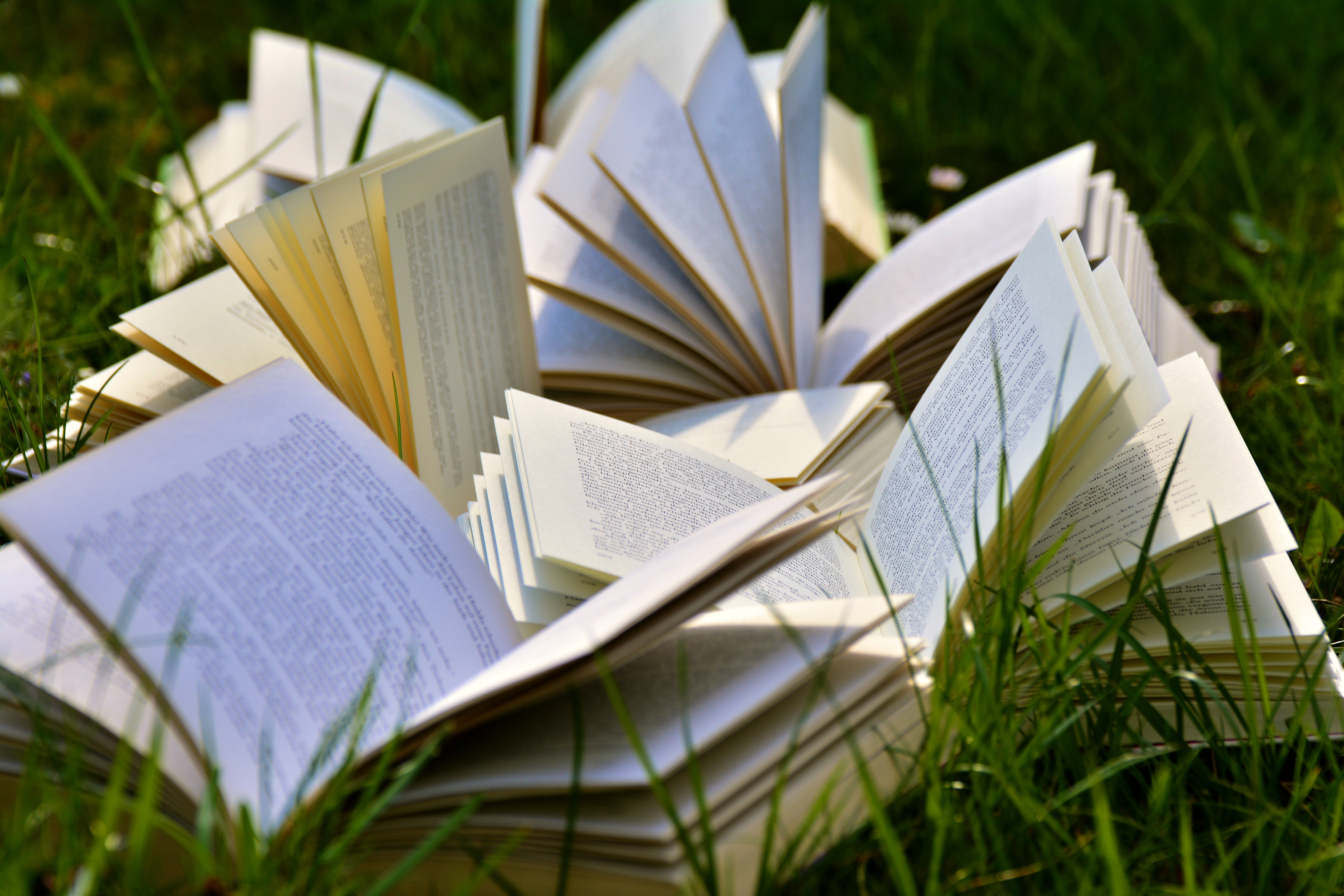 Sprachliche und schriftliche Grundfähigkeiten sind von elementarer Bedeutung für gesellschaftliche und berufliche Teilhabe.