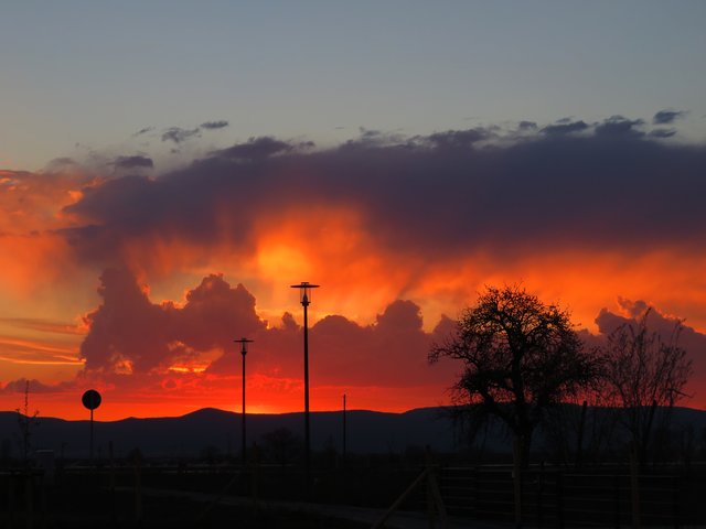 Fantastischer Sonnenuntergang Richtung Haardt | Foto: Brigitte Melder