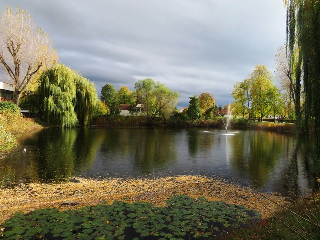 Schwarzweiher wörtlich genommen | Foto: Brigitte Melder