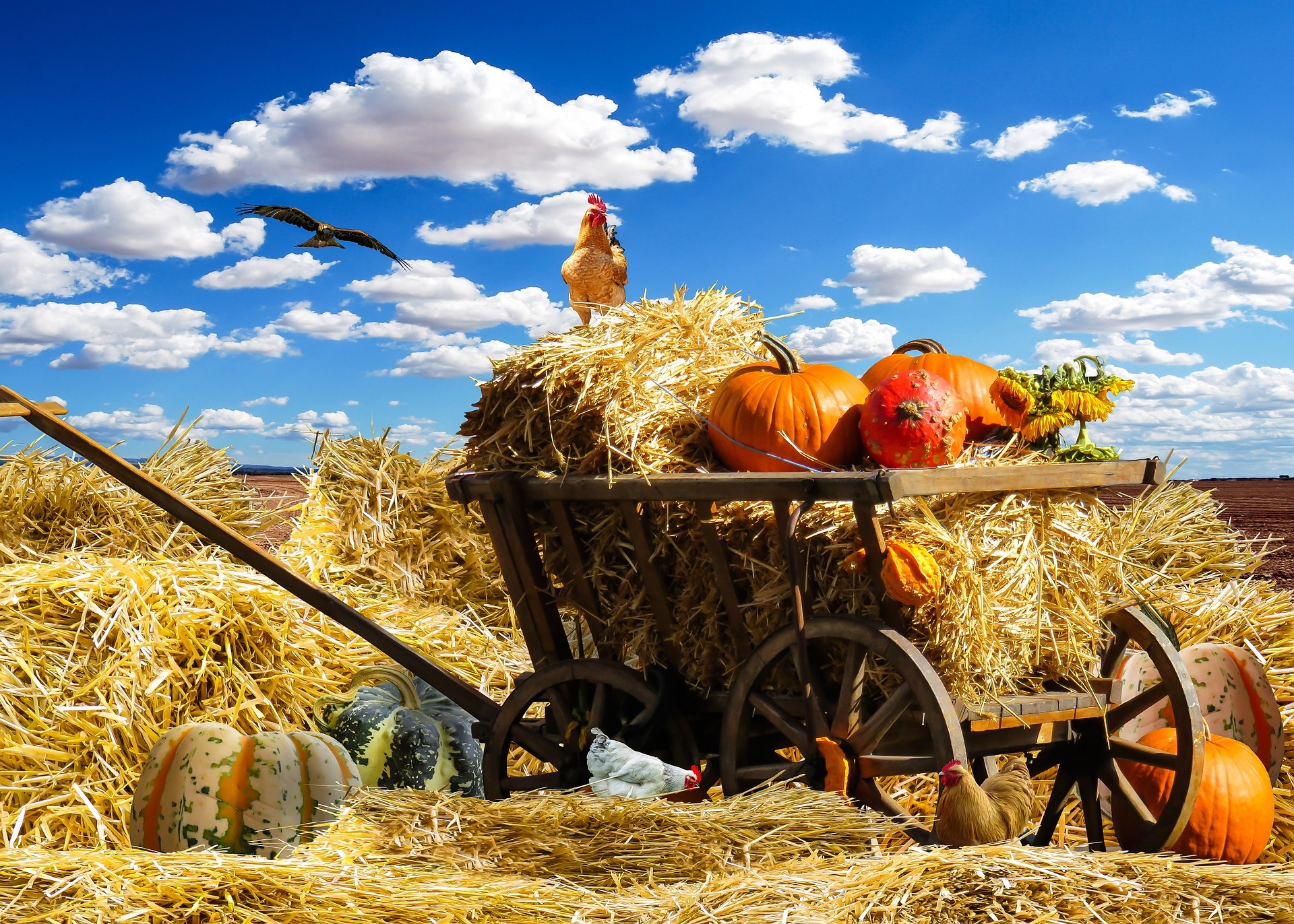 Der OGV Lingenfeld feiert am Wochenende den Herbst.