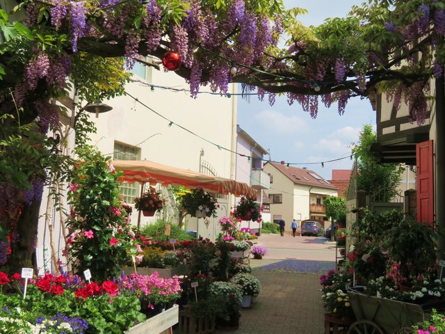 Einladend gestalteter Hofladen in Waldsee | Foto: Brigitte Melder