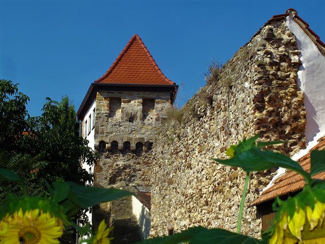 Freinsheim