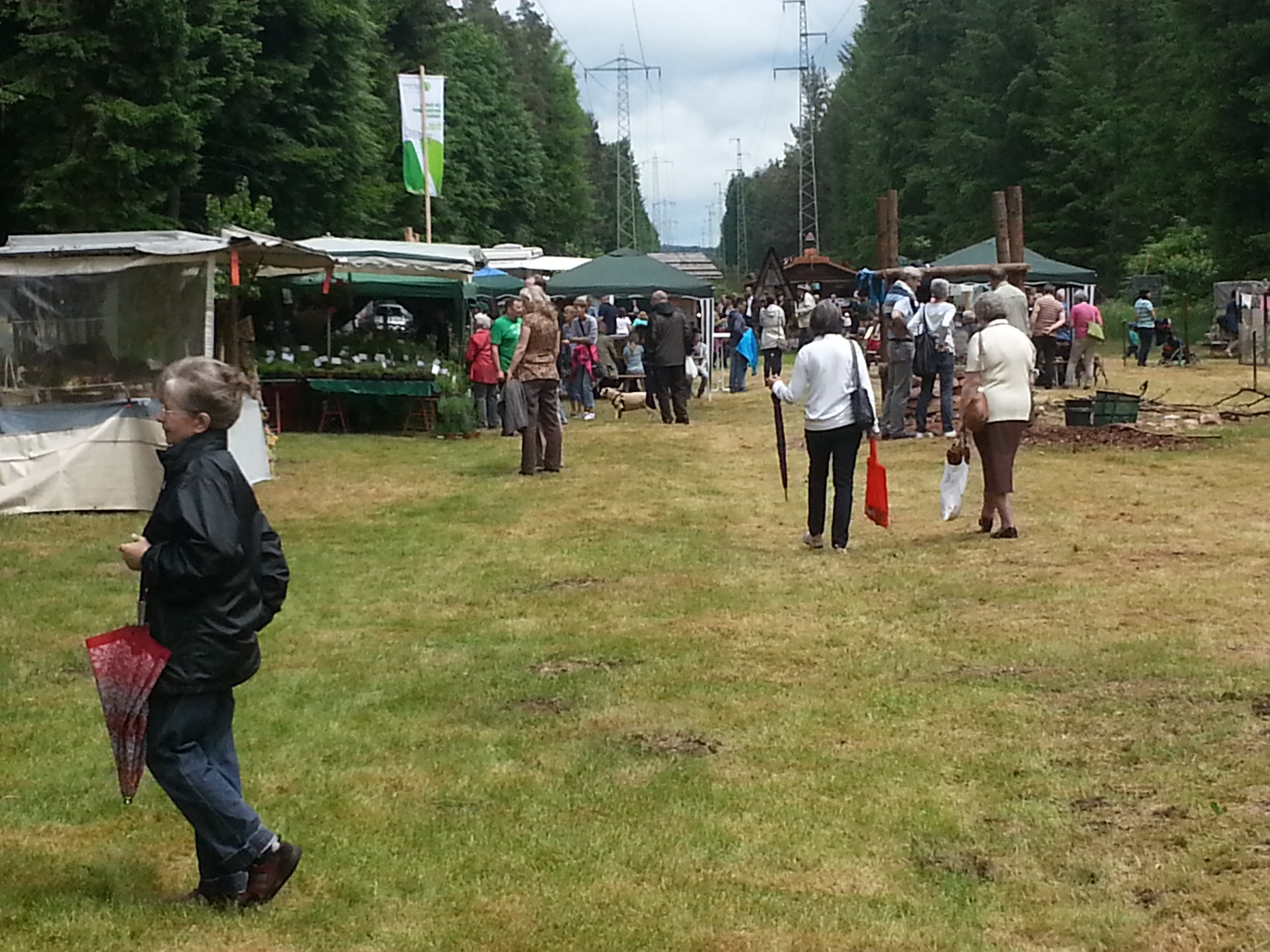 Streuobstwiese bei Erfenbach