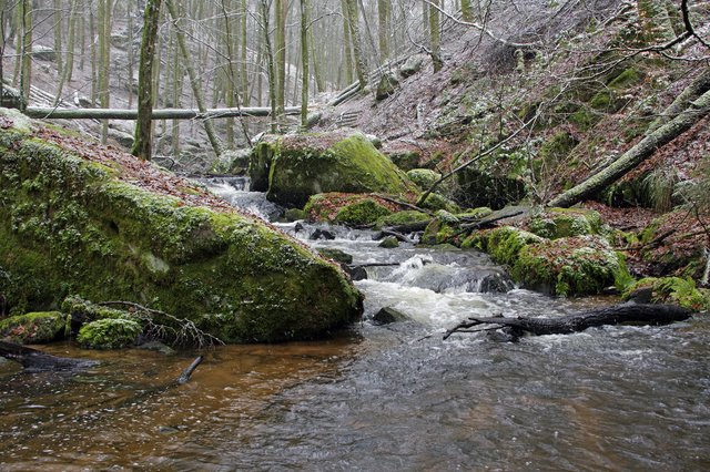 Karlstalschlucht im Winter | Foto: Ilona Schäfer