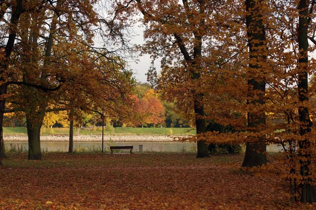 Parkinsel im Herbst | Foto: Ilona Schäfer