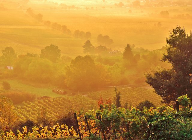 "Welcome to wine country" | Foto: Dr. Alexandra Kuhn-Thiel