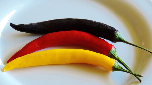 Einfach scharf, die Pfalz! | Foto: Dr. Alexandra Kuhn-Thiel