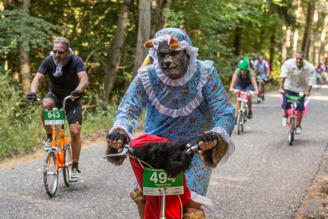 Wolf in Großmutters Nachtgarderobe. | Foto: Roland Kohls