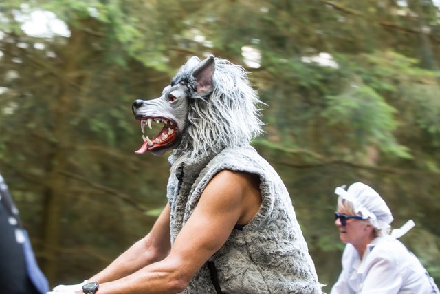 Wolf! | Foto: Roland Kohls