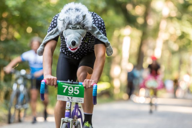 Noch ein Wolf.. | Foto: Roland Kohls