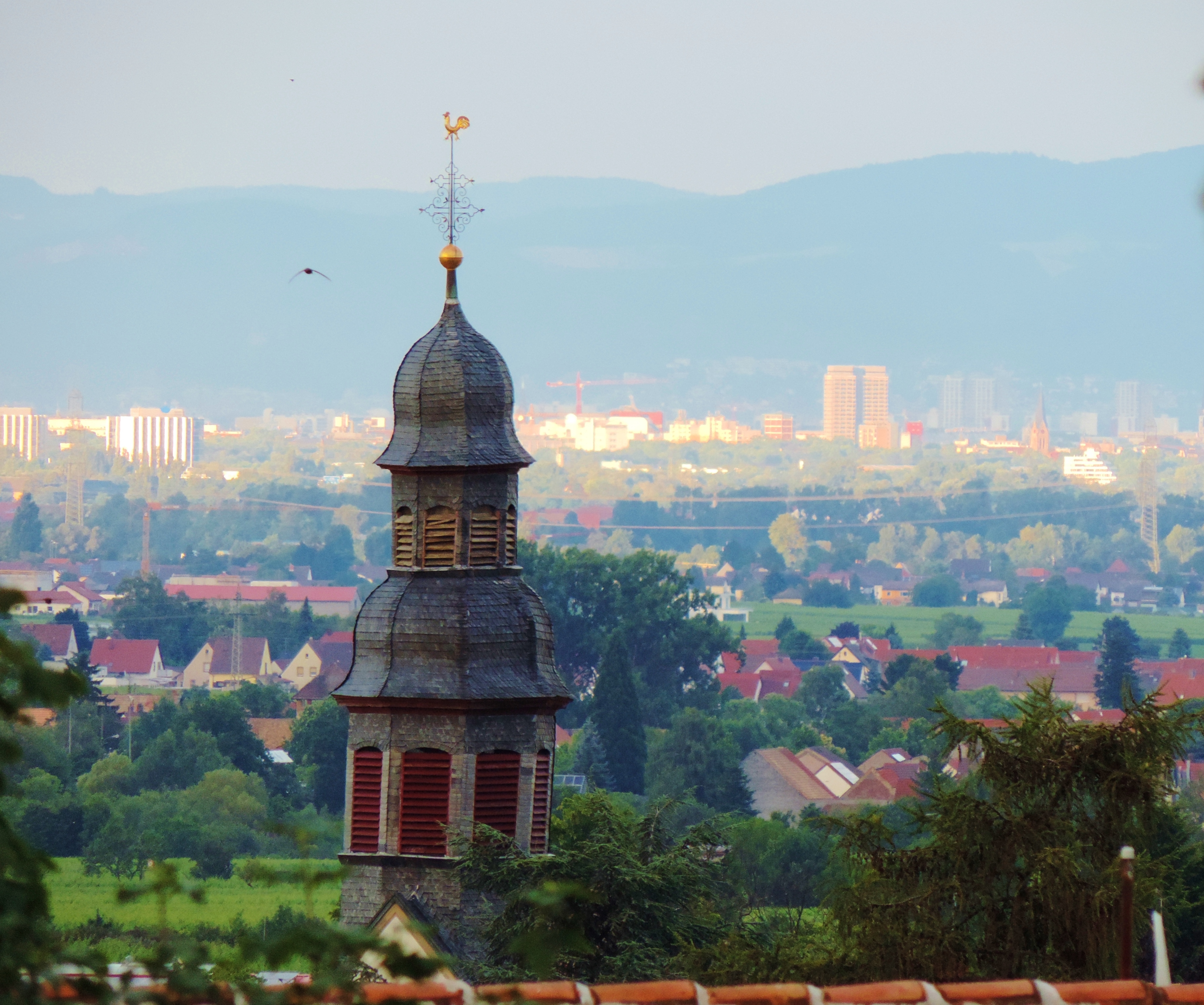 Blick in die Ebene