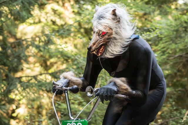 Sehr böser Wolf! | Foto: Roland Kohls