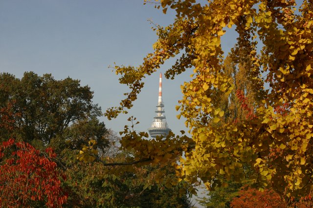 Mannheim-herbstliches Farbenspiel...…….
