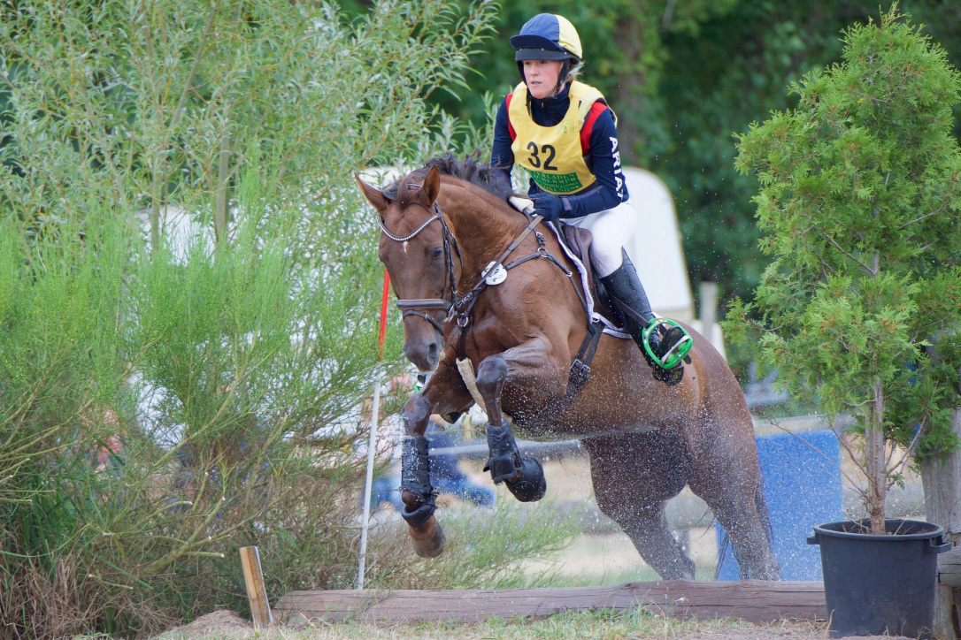 Lisa Hemmer auf der zwölfjährige Trakehnerstute „Gio Conda 3“