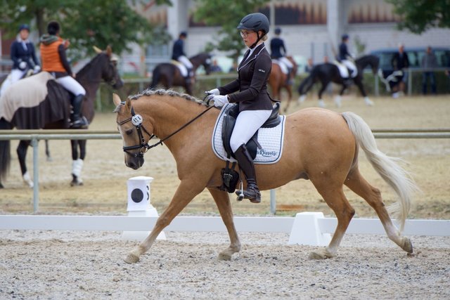 Theresa Berkel mit dem zuverlässigen Orofino 10 | Foto: hs