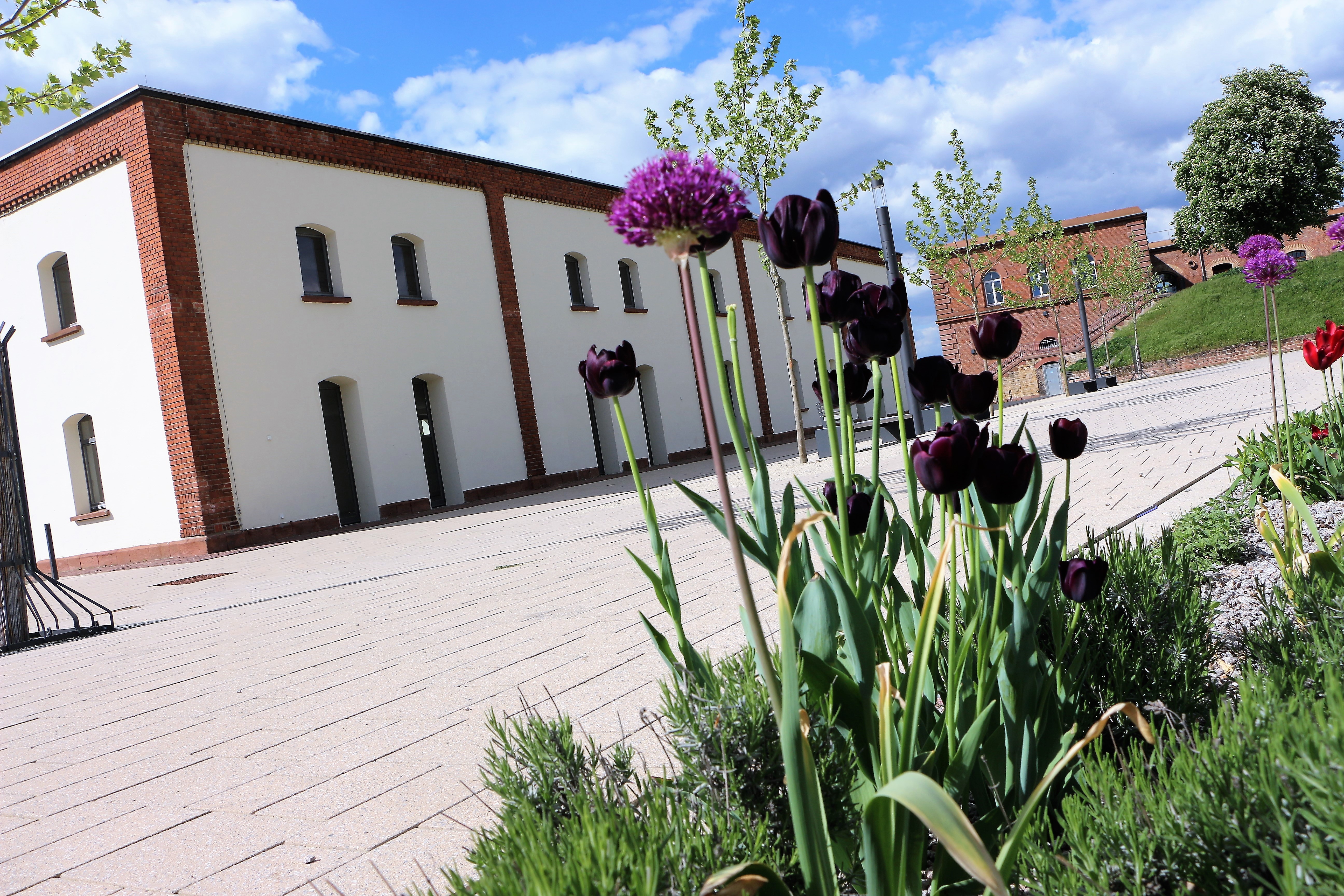 Infoveranstaltung zum Mitmach-Portal am 12. September im Neuen Bürgerhaus am Weißenburger Tor in Germersheim.