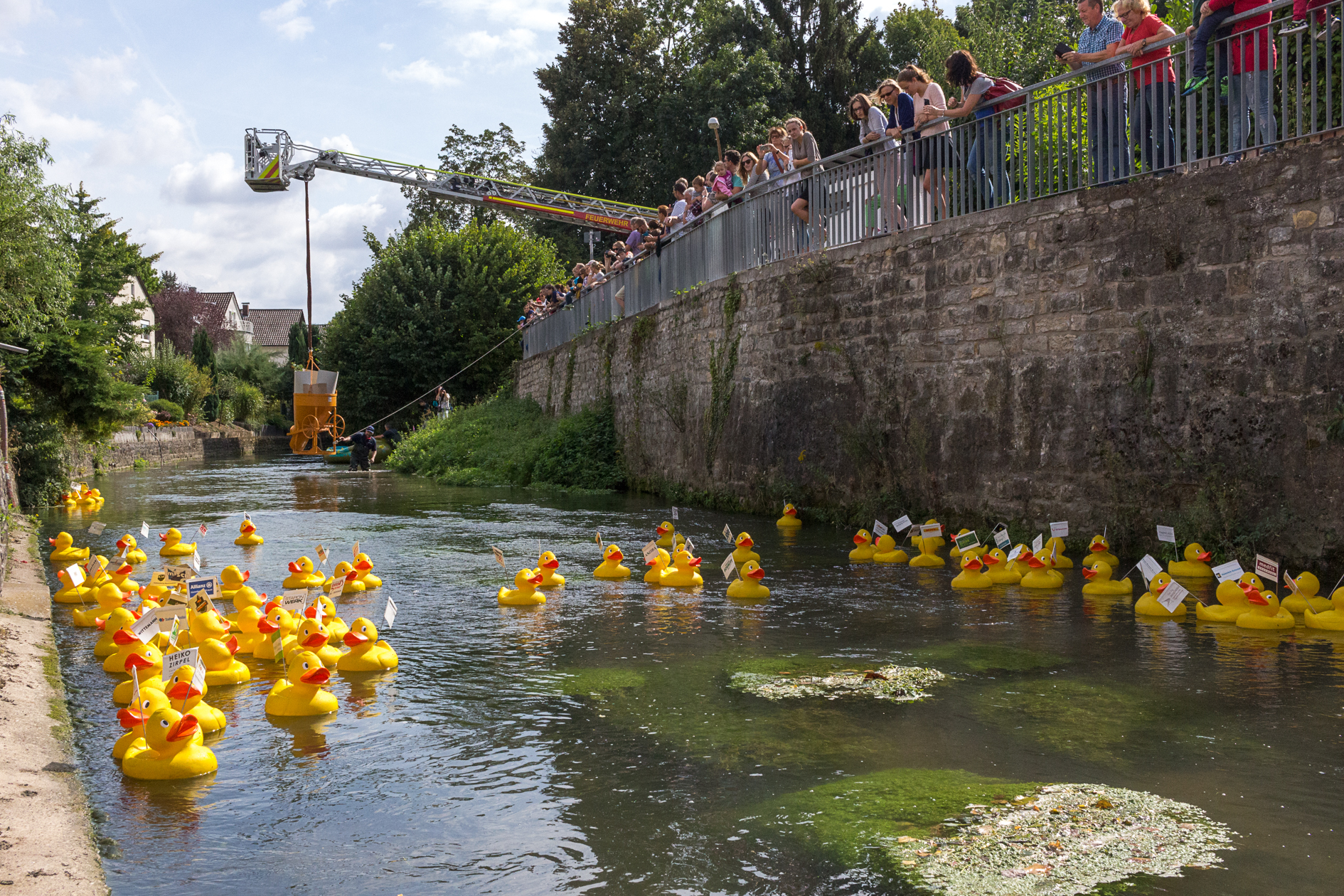 Bruchsaler Entenrennen
