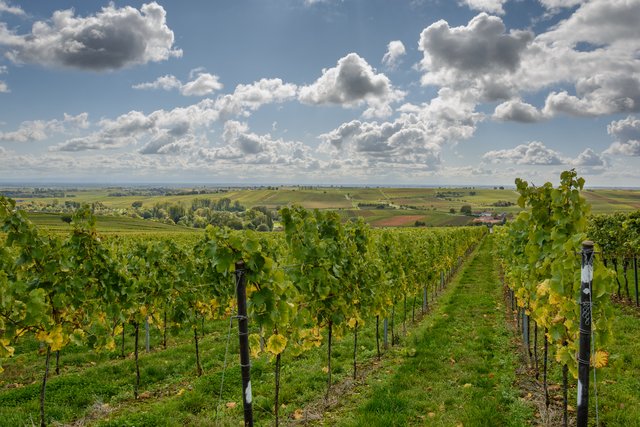 Ausblick von der Kleinen Kalmit 2