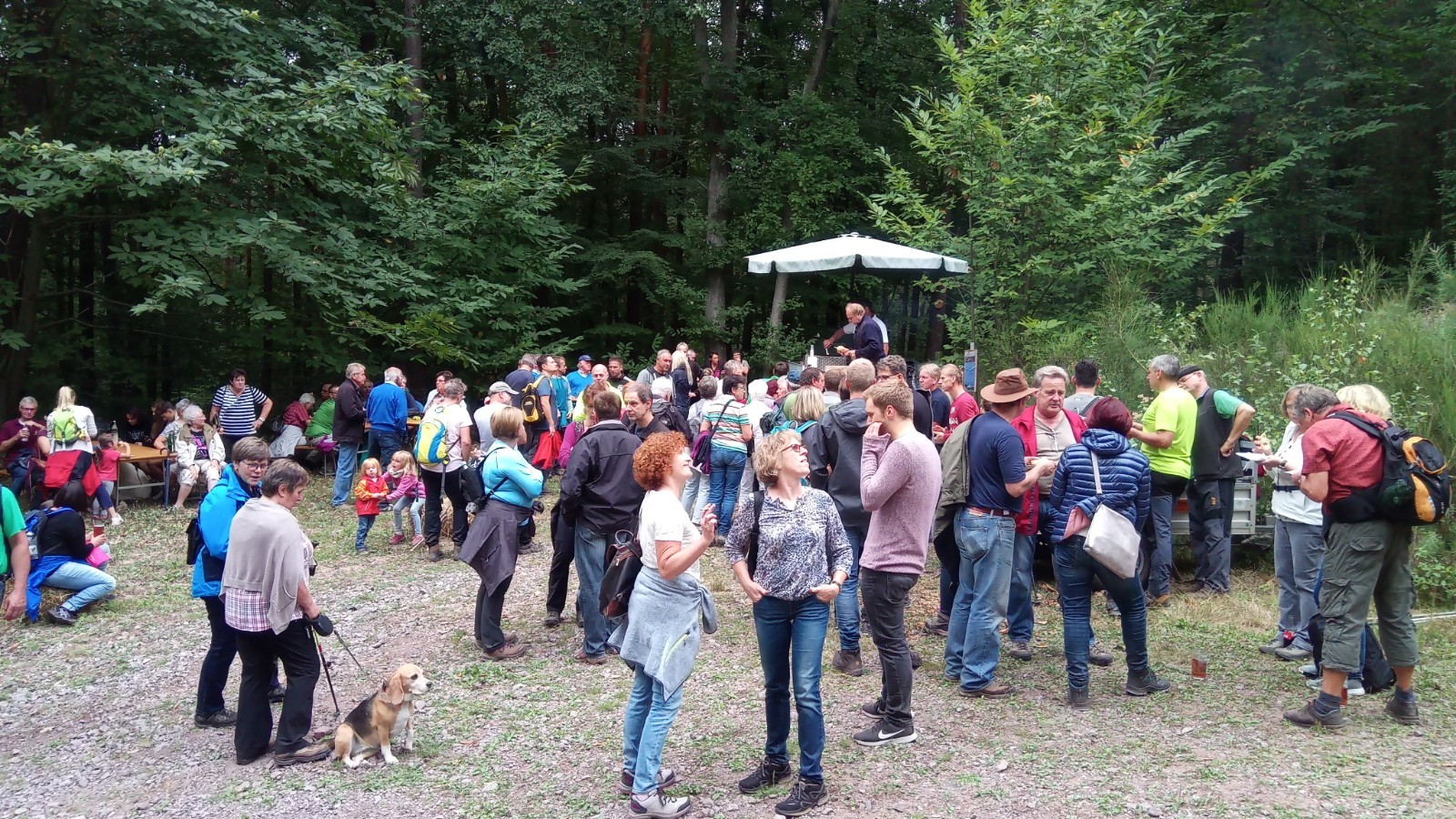Insgesamt 450 Wanderer machten sich auf den Weg.
