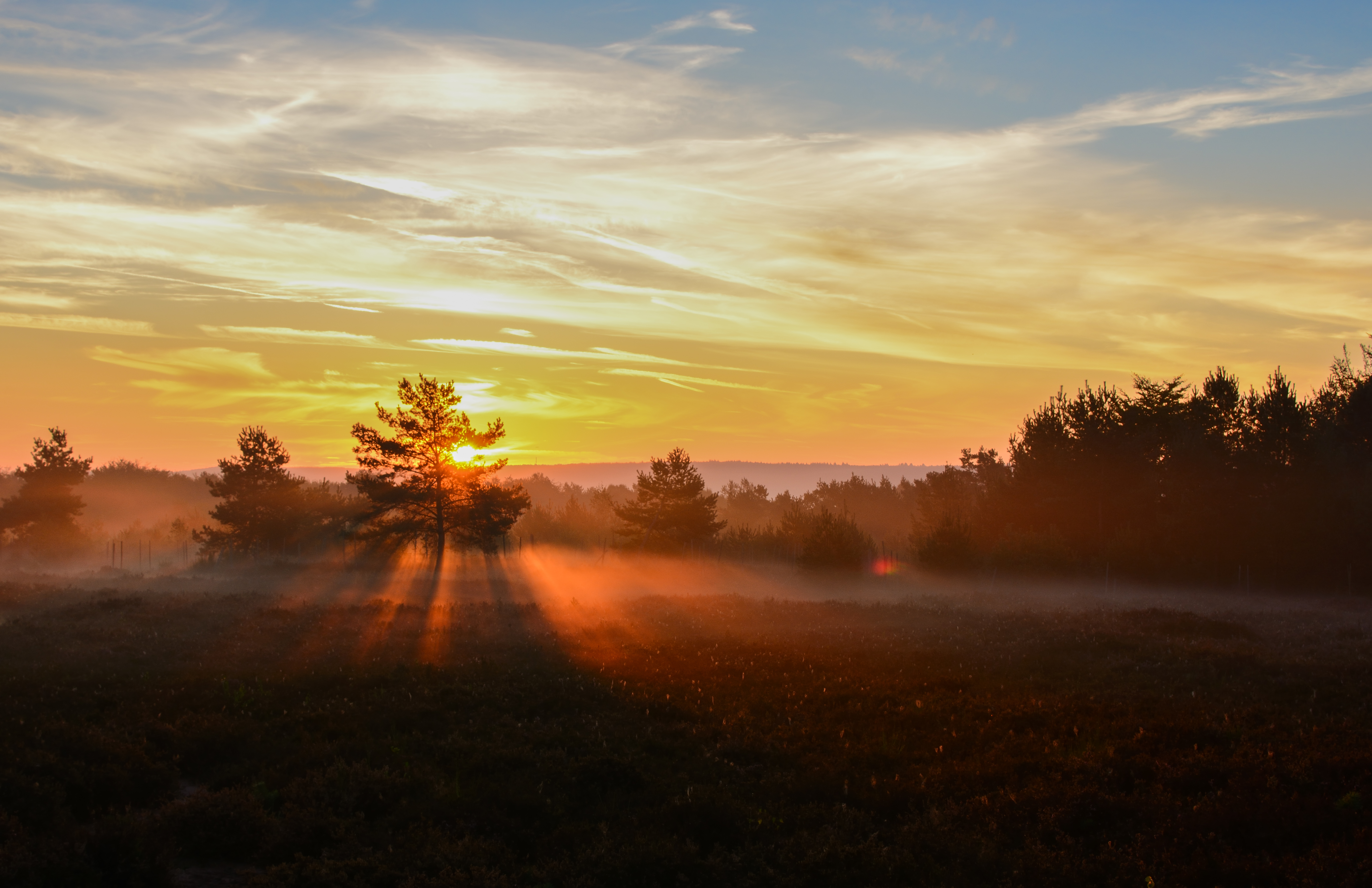 Sonnenaufgang in der Mehlinger Heide